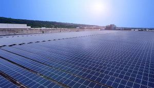 中美硅晶与k1体育光电携手战略合作