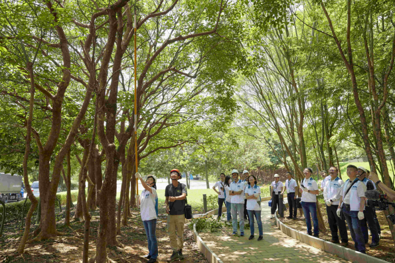 藝師教導大家認識樹木、檢查樹的健康狀況，學習修枝及碎枝覆土